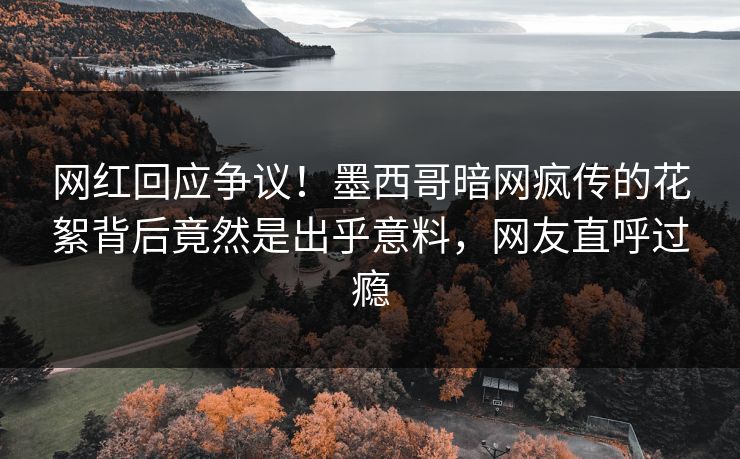 网红回应争议！墨西哥暗网疯传的花絮背后竟然是出乎意料，网友直呼过瘾