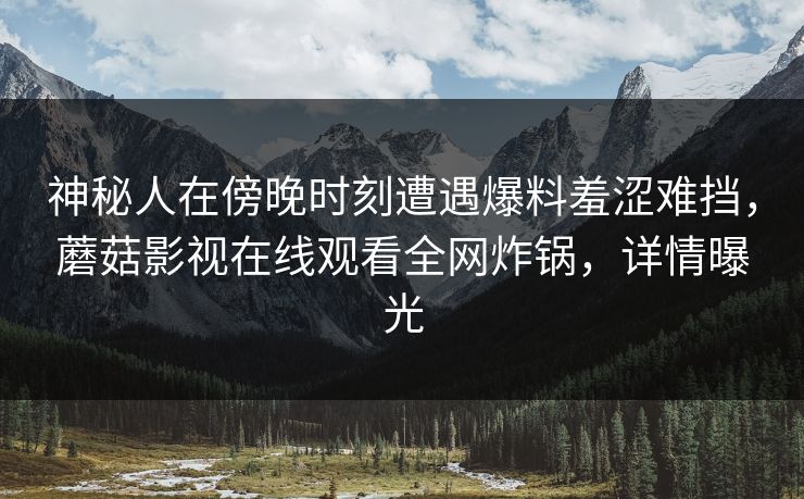 神秘人在傍晚时刻遭遇爆料羞涩难挡，蘑菇影视在线观看全网炸锅，详情曝光