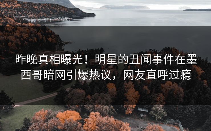 昨晚真相曝光！明星的丑闻事件在墨西哥暗网引爆热议，网友直呼过瘾
