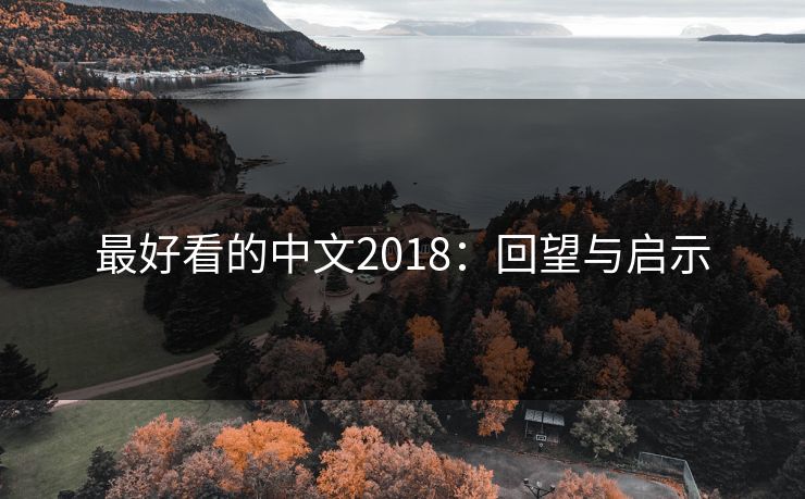 最好看的中文2018:回望与启示 最好看的中文2018:回望与启示